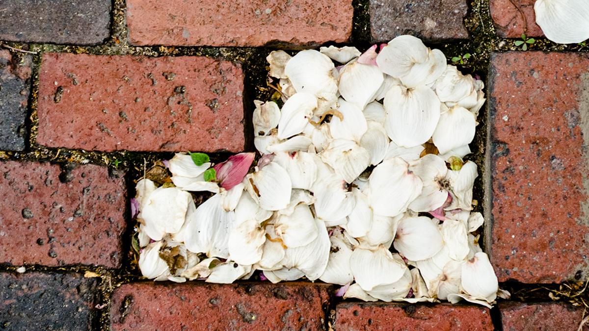 Harvard Business Review tweet media