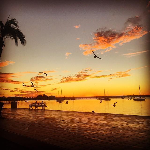 AACabobyBea's tweet photo. Beautiful #sunset to end our day on the #seaofcortez #bajacaliforniasur #bcs #melacon #loscabos by _im_over_here http://t.co/m5U9CAqu6z