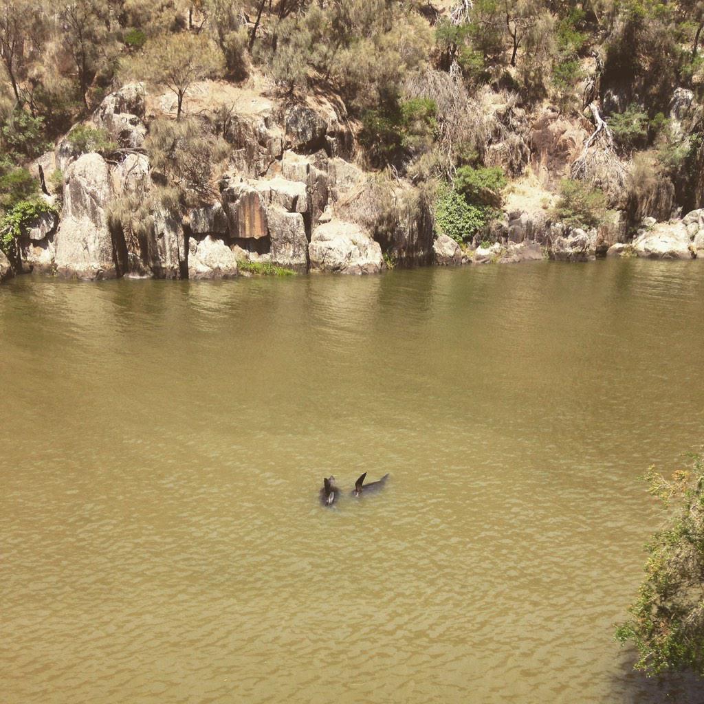 Hi there Sammy and Stella the seal. Thanks for welcoming us to the gorge