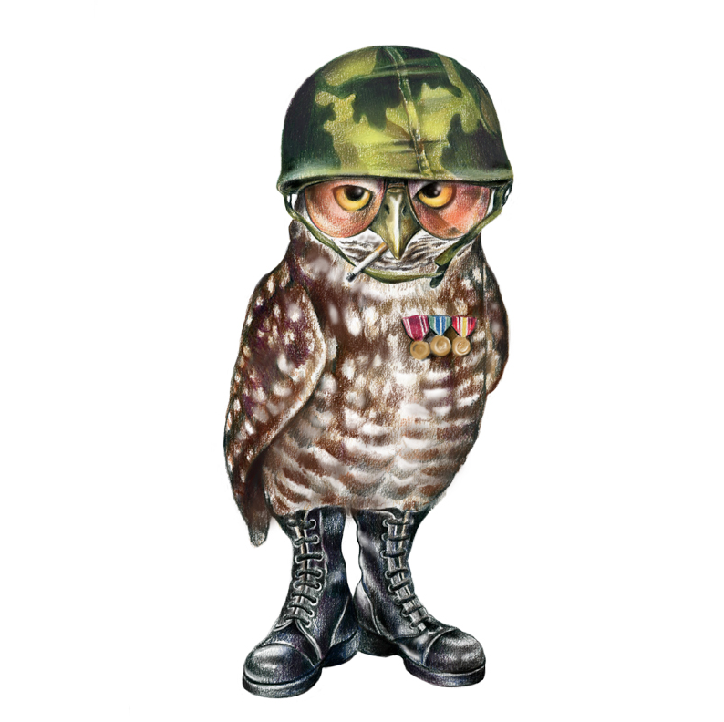 tbar_tees's tweet photo. #TBT - 2012 Mean Military Owl http://t.co/PDRlnzjlGn
