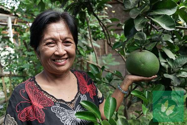 Ni Luh Putu Sugianitri, Mantan Ajudan #Sukarno Yang Sekarang Menjadi Pelestari Jeruk #bali : ulin.in/tSF