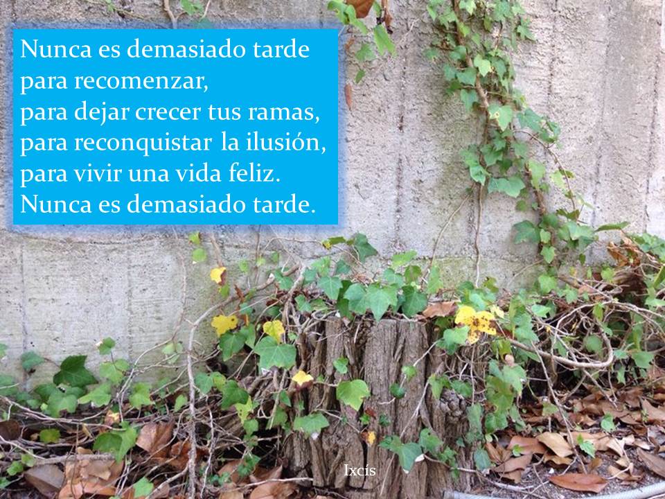 Enlace permanente de imagen incrustada