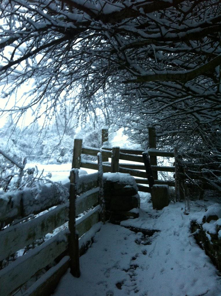 yettonfuture's tweet image. #VillageViews