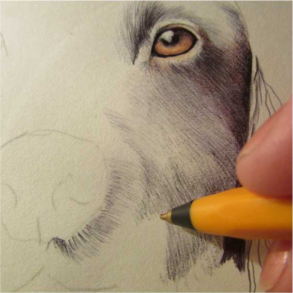 Niki Firmin tweet media