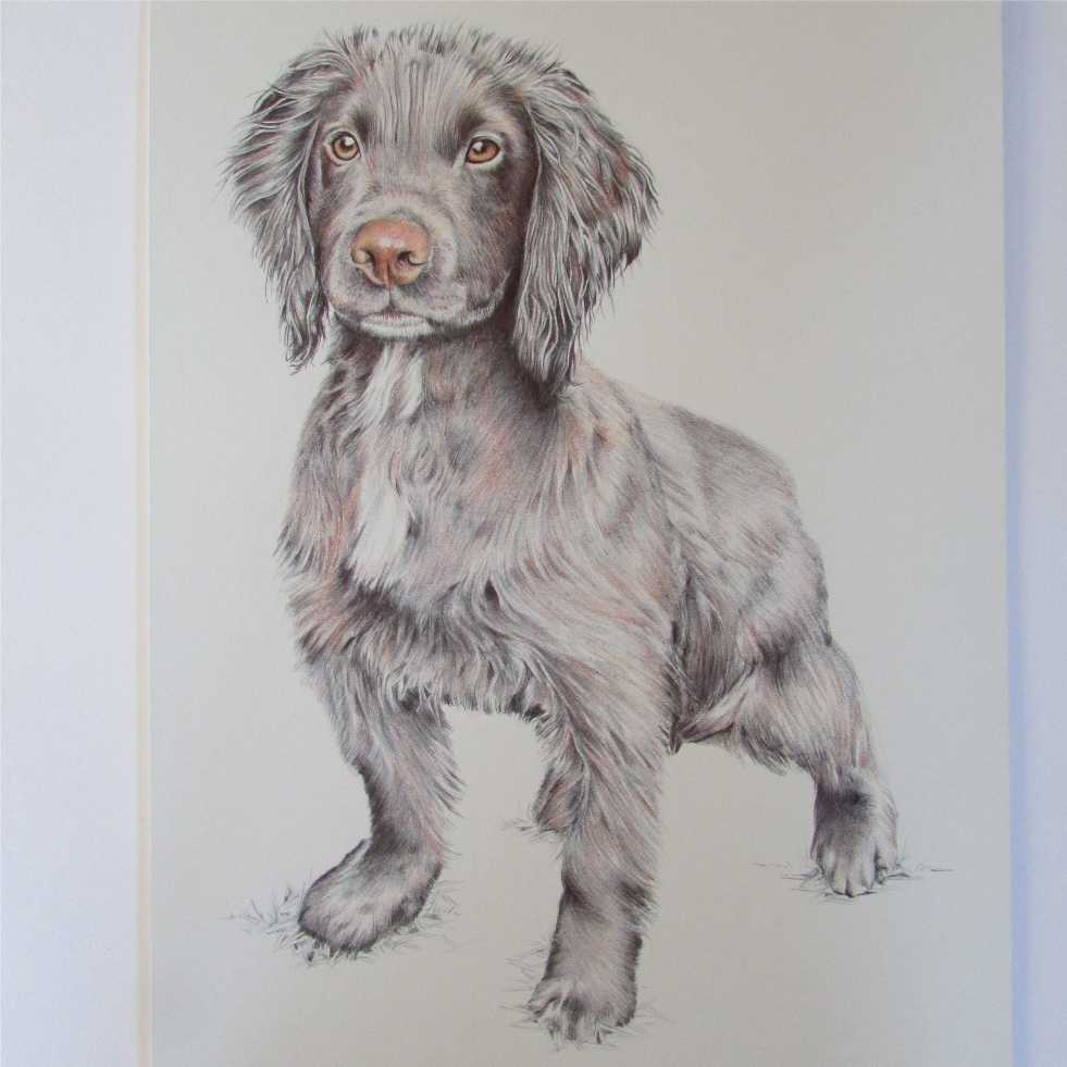 Niki Firmin tweet media