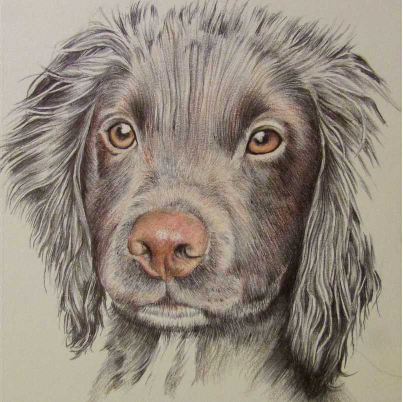 Niki Firmin tweet media