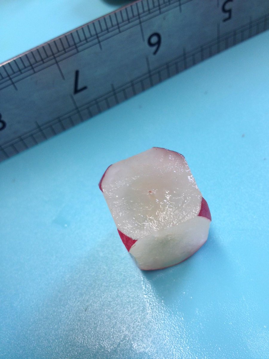 MagneticMattt's tweet photo. This morning @EdSciFest we made a jig for cutting fruit into cubes. Why? You'll see when the brochure is launched! http://t.co/BaeYZanFMT