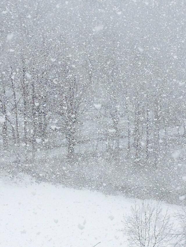 sitesetpaysages's tweet photo. Neige en #Ardèche au #camping #sitesetpaysages Domaine de la Plage @ADT_Ardeche @OTASV #Neyrac http://t.co/XSyX6U7PFQ