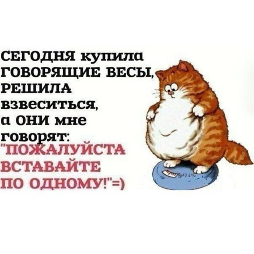 Смешные высказывания о весе
