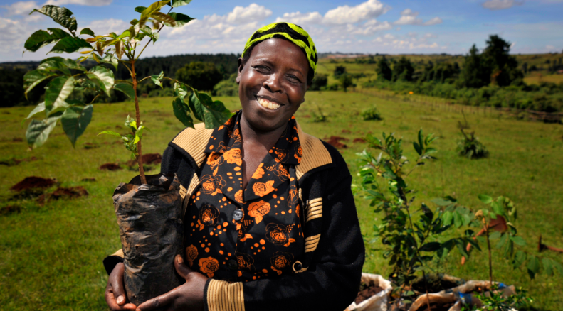 Helen Clark tweet media