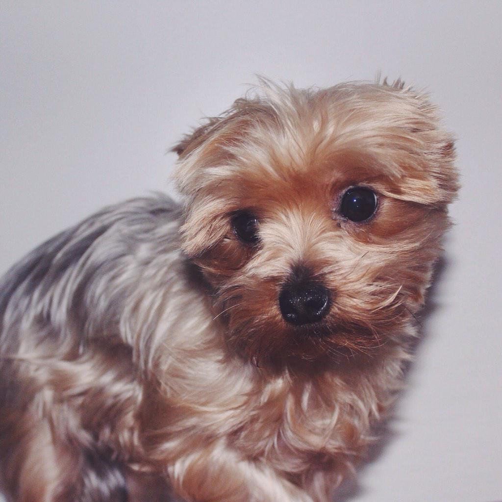 itstimba's tweet photo. @Fuzmo #fuzmoapp #fuzzlove http://t.co/pQZInUjtmB