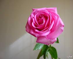hneen670's tweet photo. http://t.co/idbd3XxvFw