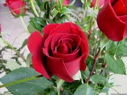 hneen670's tweet photo. http://t.co/idbd3XxvFw