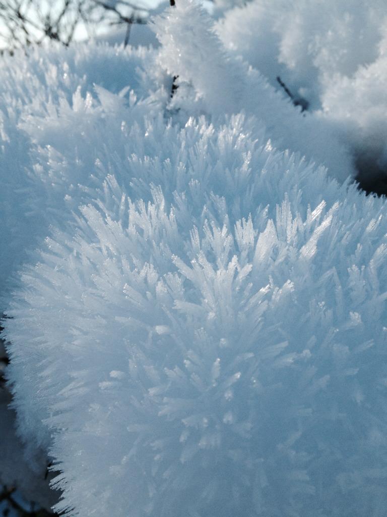 <a href="/BBCSpringwatch/">BBC Springwatch</a> Ice Crystals near Old Tupton #winterwatch #coldsnaps