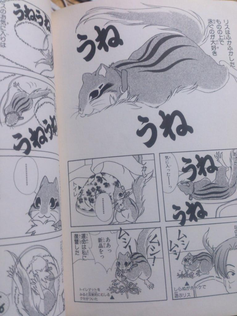 @nanao_ozwalk シマリス倶楽部という漫画がうちにありましてだな。 