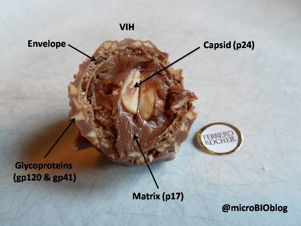 BeaMaciasD's tweet photo. "@microBIOblog: Estructura viral: la manera más dulce de explicar cómo es el virus #VIH http://t.co/msVtHFsbA8" @MJoseLorente @raquelogu