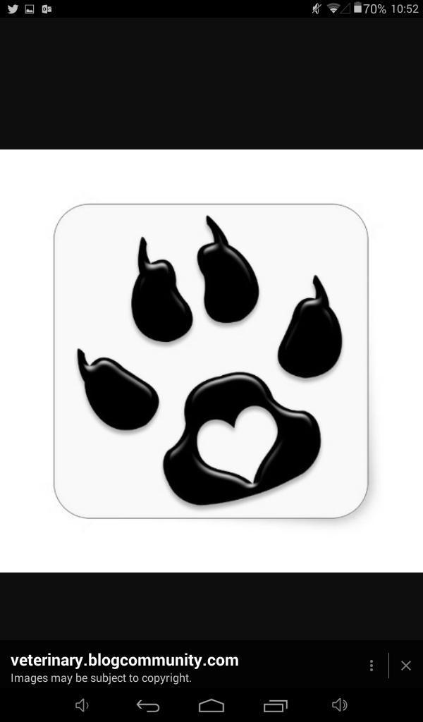Jerzcaligrl's tweet photo. Declawing is inhumane, cruel, and unnecessary! # #SaveTheClaws #dontdeclaw http://t.co/Pv6V9Ljbo7