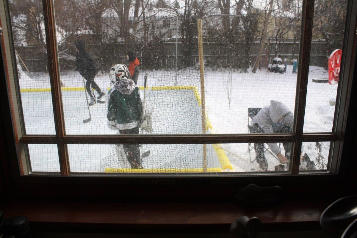 bixlaura's tweet photo. #nicerink Scenes from the yard and house since nice rink came into our lives #winteryard http://t.co/nOKfswnT1n