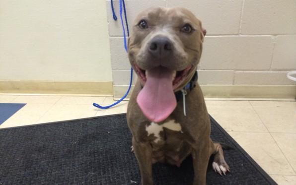 Embedded image permalink