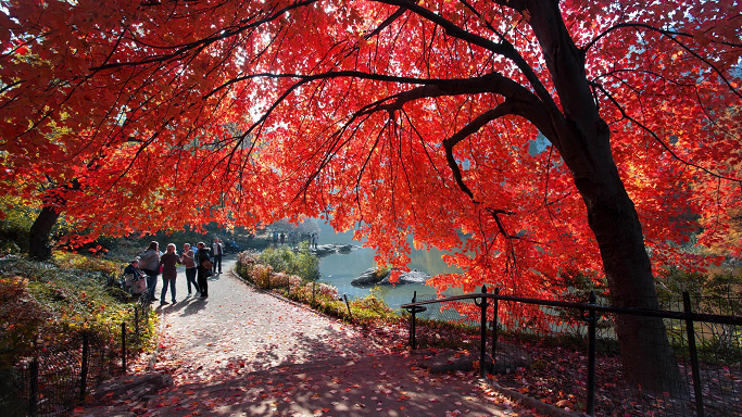 Momiji356's tweet photo. 4 seasons 👍 http://t.co/KT3NOs9Qa8