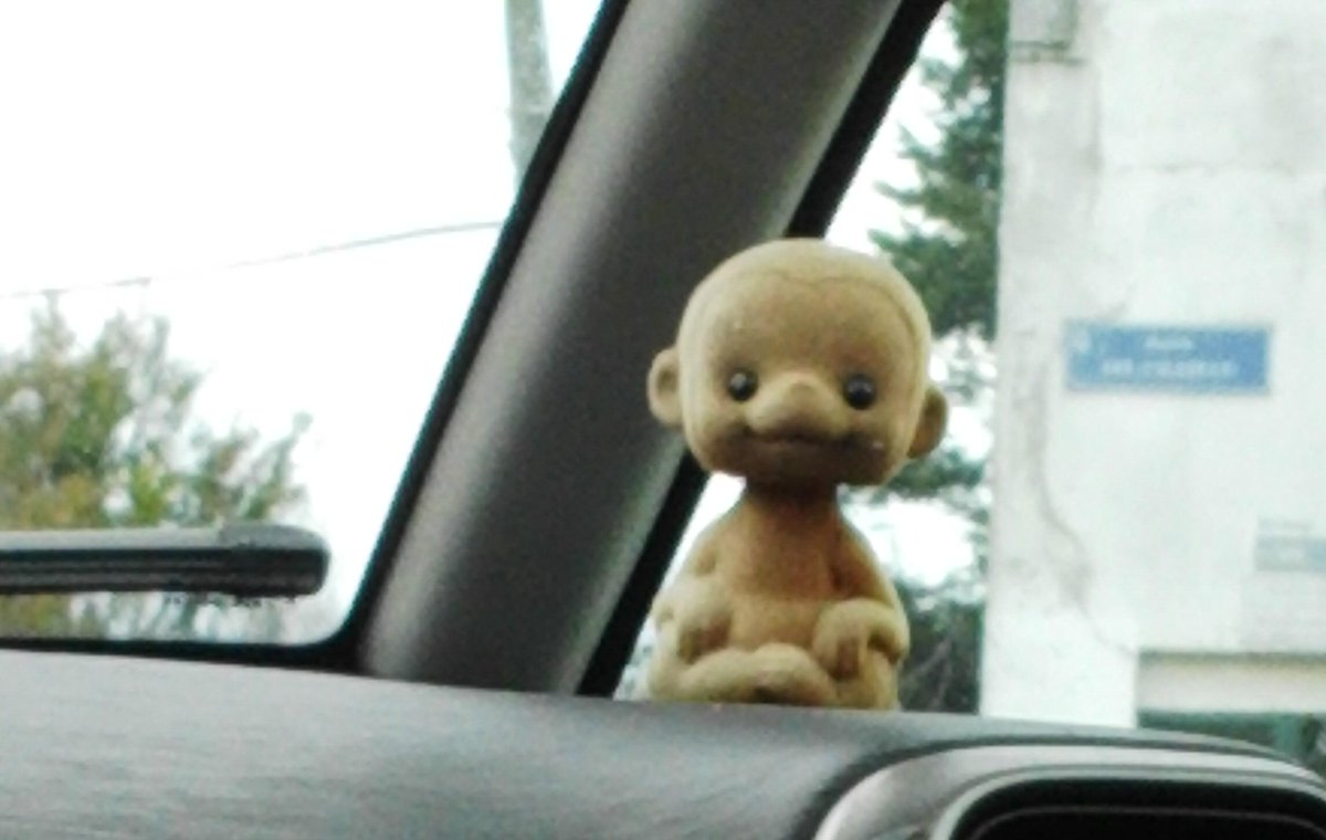 MartaBarcena's tweet photo. Ir en taxi y tener a eso mirándome jajaj http://t.co/SGFhxQFDz7