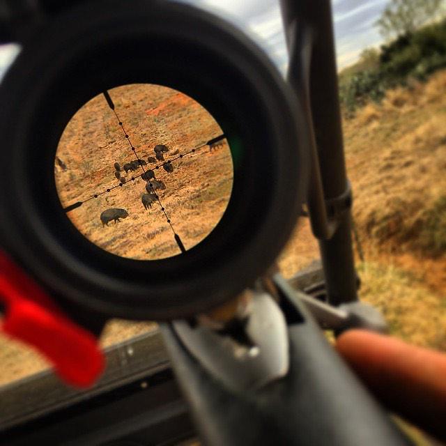 OUTDChannel's tweet photo. It's good to have options! - @remi_grayson. #WhatGetsYouOutdoors #ShotShow2015 http://t.co/WKraqnjUoC