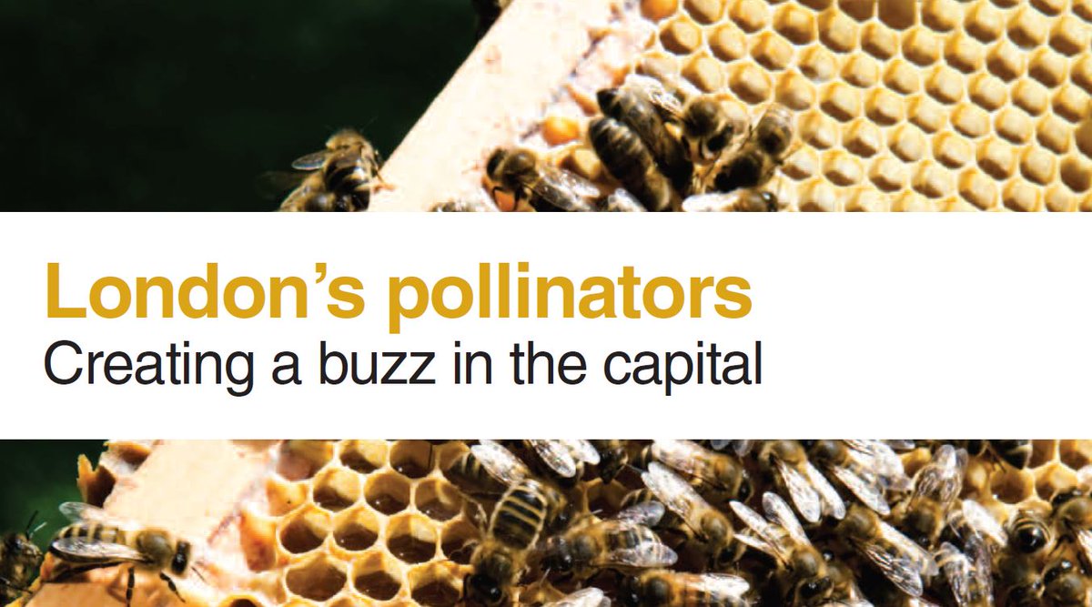 London's Pollinators tweet media