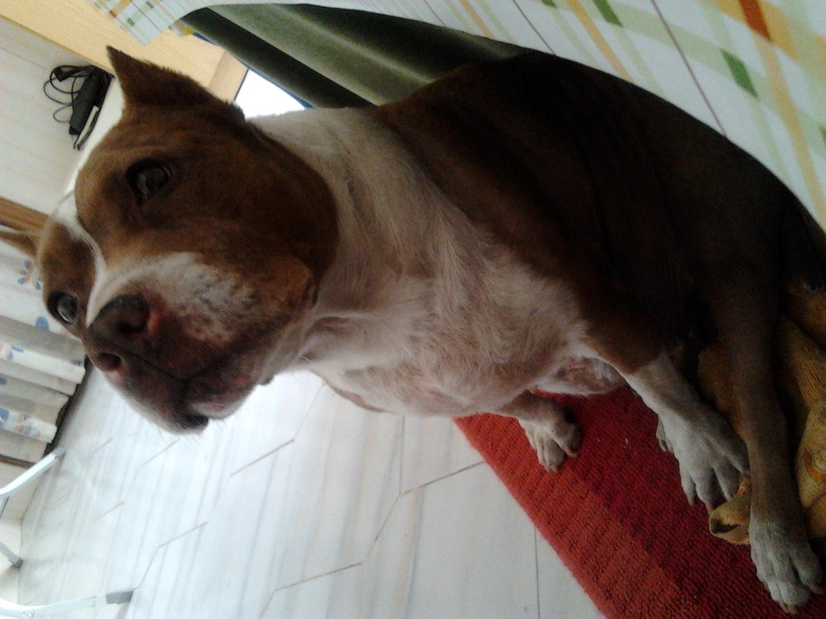 Pili1294's tweet photo. Bb guapa http://t.co/YeVKOQyvMm