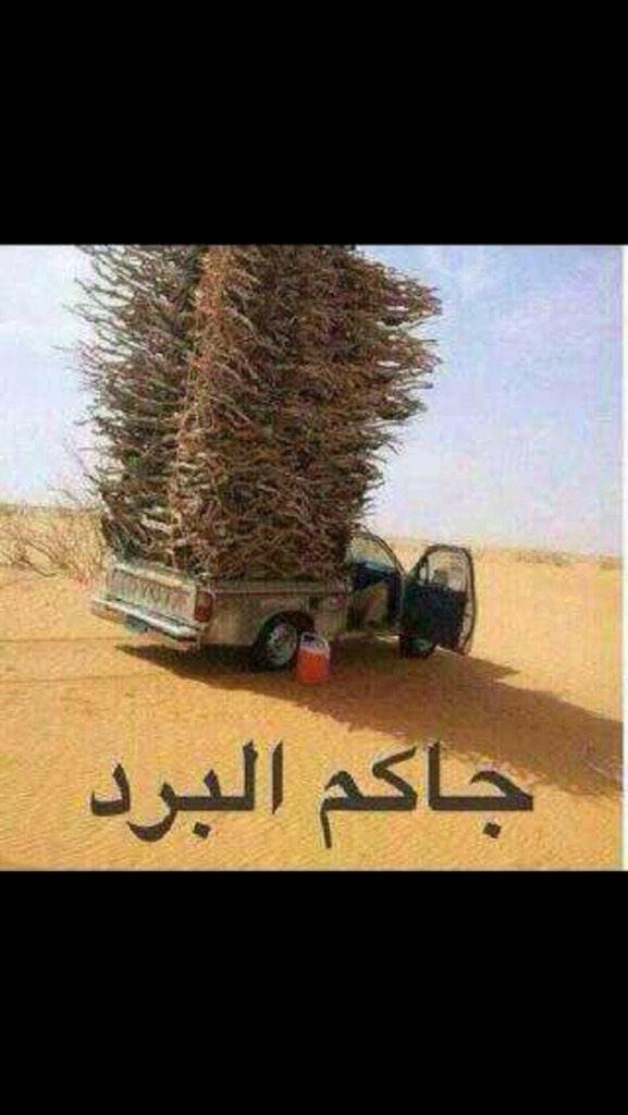وليد الحارثي (@ggjf12) on Twitter photo 
