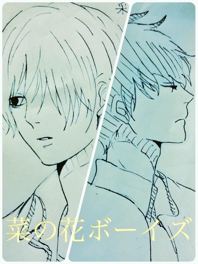 菜の花ボーイズ Twitter Search Twitter