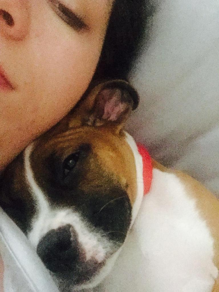 BoxerChronicles's tweet image. #selfie with mommy...