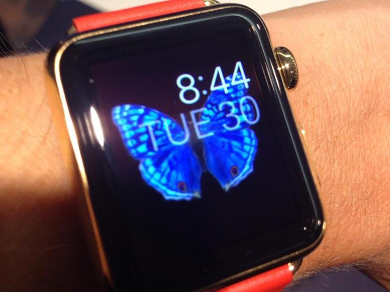 iPhoneHackx's tweet photo. TapSense unveils its ad platform focused on the Apple Watch http://t.co/2wGd69ywl4 #Apple #AppleWatch #TapSense http://t.co/iqd9ggiEsz