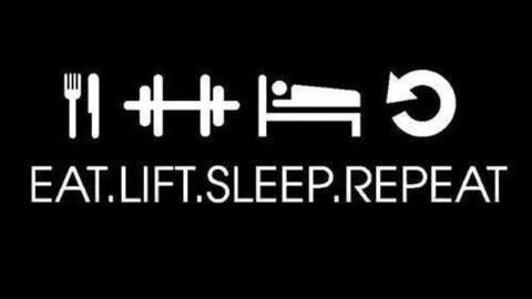 SmartEndless's tweet image. Eat lift sleep repeat