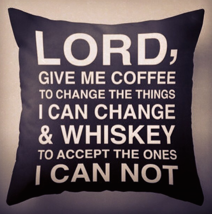 AlibiWhiskey's tweet photo. Someone get me this pillow immediately. #WhiskeyWishes http://t.co/NY9tyokz4t