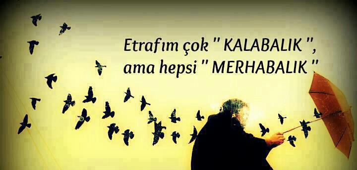 GtfcMerve's tweet photo. http://t.co/xivrZaQr5S