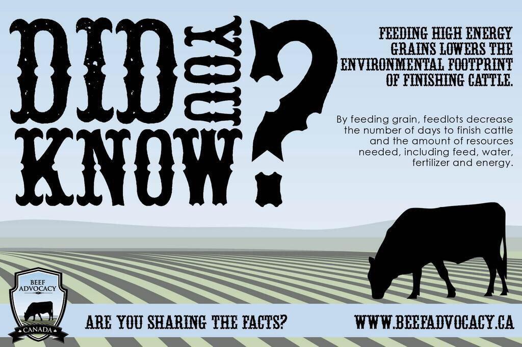 BeefAdvocacy's tweet photo. Check out facts about the Canadian beef industry! Feel free to save and share. #farm365 #cdnag #cdnbeef #agchat http://t.co/TvfwkRpNWO