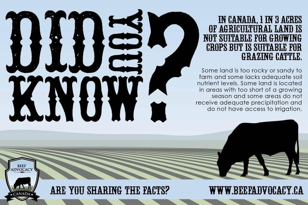 BeefAdvocacy's tweet photo. Check out facts about the Canadian beef industry! Feel free to save and share. #farm365 #cdnag #cdnbeef #agchat http://t.co/TvfwkRpNWO