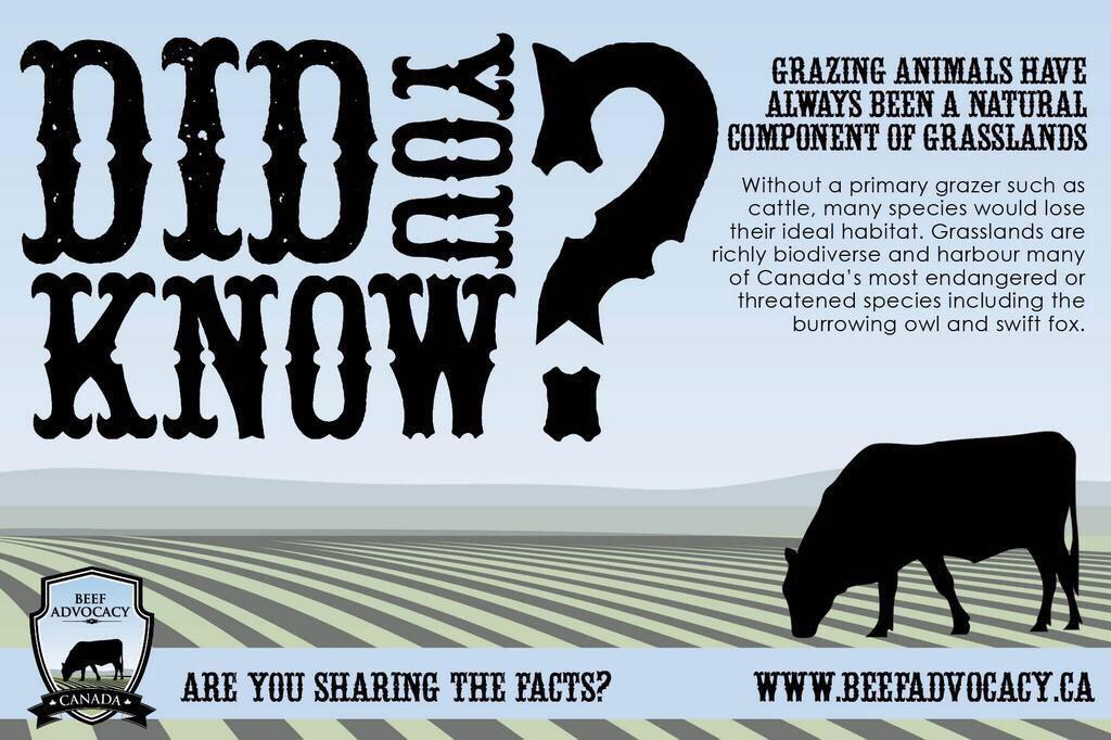 BeefAdvocacy's tweet photo. Check out facts about the Canadian beef industry! Feel free to save and share. #farm365 #cdnag #cdnbeef #agchat http://t.co/TvfwkRpNWO