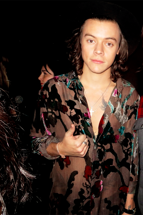 itsMyLegoHouse's tweet photo. #Harry http://t.co/pqem2NBxXd