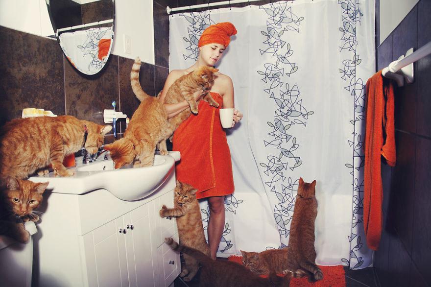 BuzzFeed's tweet photo. This Photographer Makes Cat Lovers’ Dreams Come True By Filling Their Homes With Cats http://t.co/JXjOvl5Q5Y http://t.co/531fO3ouda