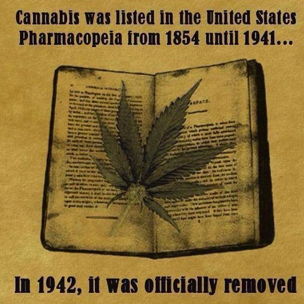 HighandMighty_N's tweet image. #HempHealth #recreatingperceptions #HighSociety #StayLifted #HealTHCare #RightToLife