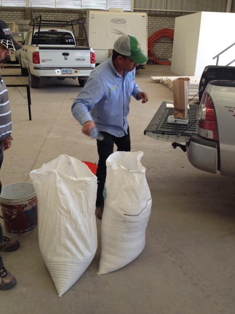 PlataformasGTO's tweet photo. Ensayo diferentes dosis fertilización nitrogenada #Trigo #Cortazar @PepsiCoMex @MasAgPlataforma #Xonotli @MasAgroGto http://t.co/UnrLkx67pG