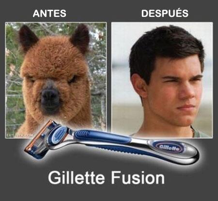 Taylor Lautner.