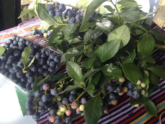 flemingtonfm's tweet photo. Berry delicious today @flemingtonFM http://t.co/RZQvgtqsAK