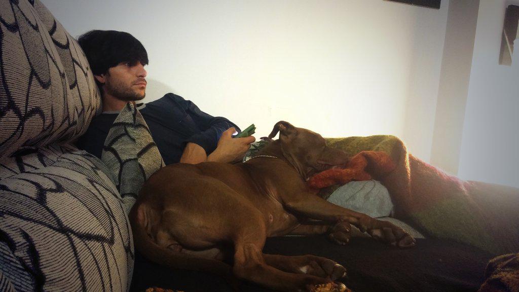 TxutxiSandraBox's tweet photo. Dspues d tdo el dia sin parar x casa...sofa y manta!Ns encanta😃+ qbien😍#midormilona #papimóvil #semecaelababa🐶💑🏡 http://t.co/hpuu5oyVdm