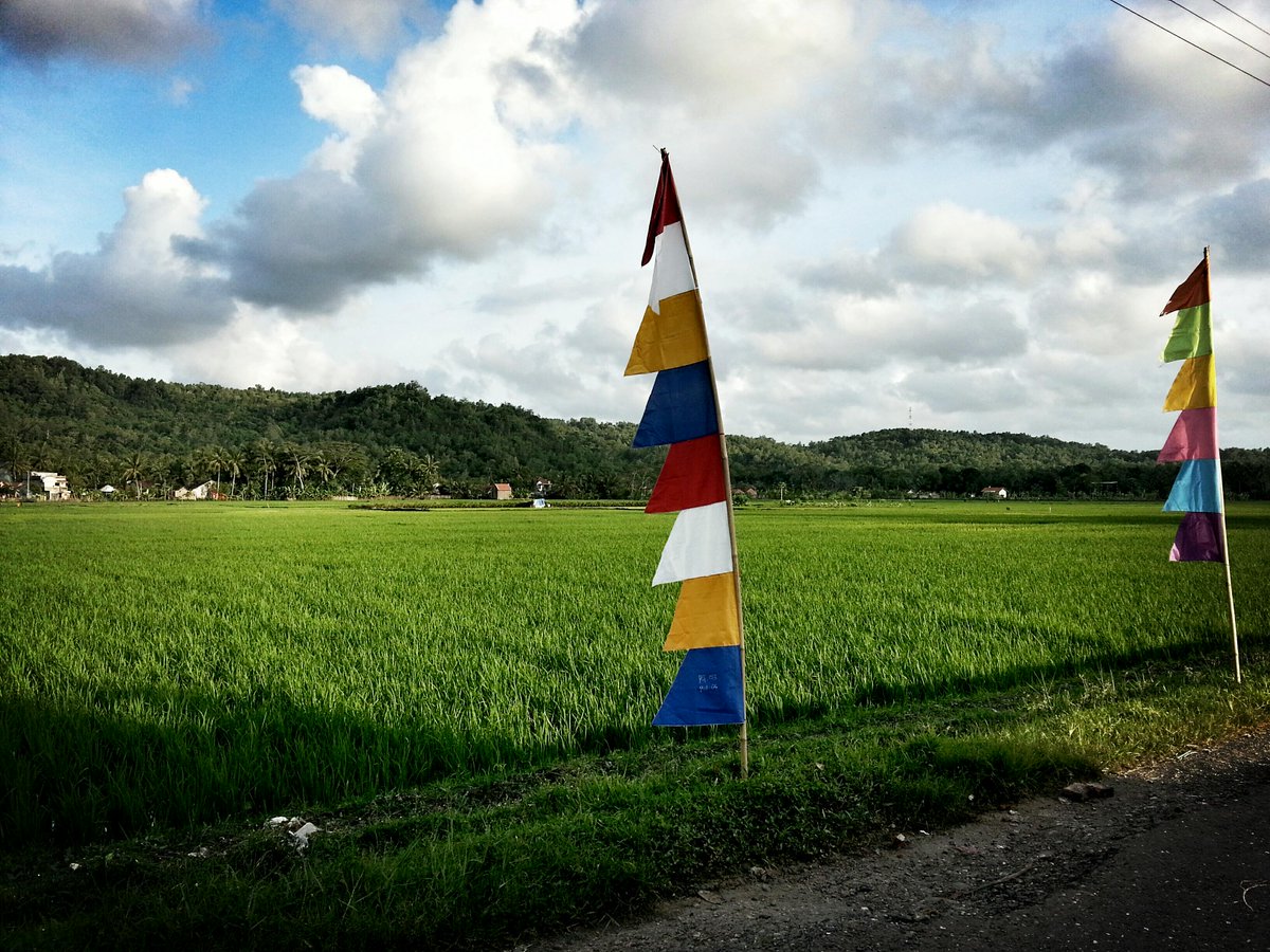 javasign's tweet photo. Good morning and happy weekend * regards our creative crew * http://t.co/lH0KquY1v7