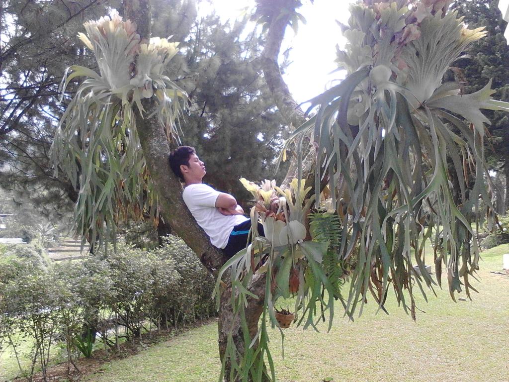 Ilmu Gizi 49 IPB (@nutrisci49) on Twitter photo 