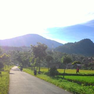 Suasana Desa Pagi Hari Moa Gambar