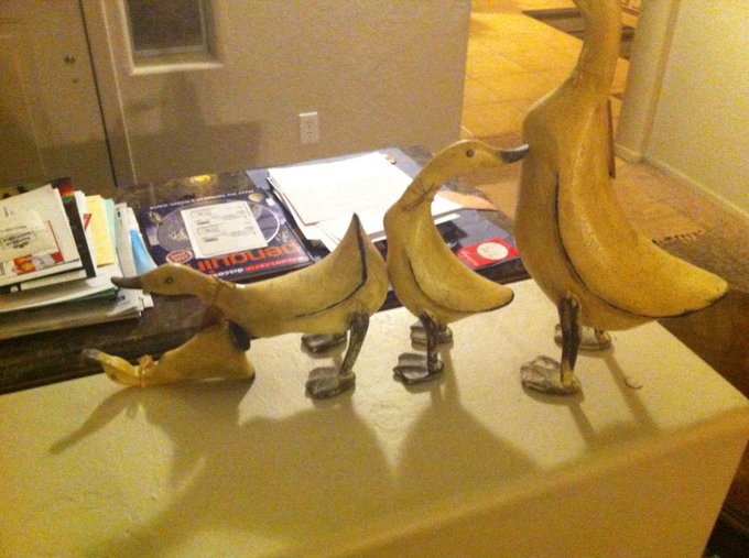 Quack back at it🐣🐦 http://t.co/16cb4nGoTZ