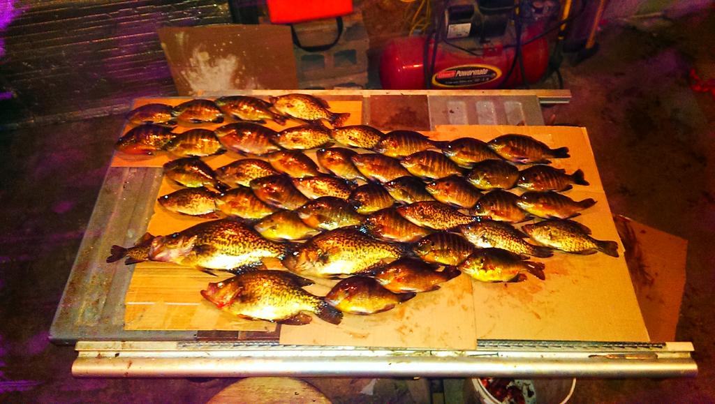 Productive day out on the hard water #staydedicated